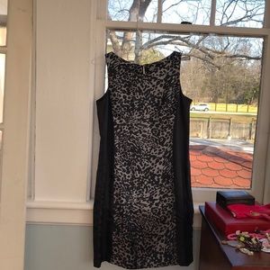 Ann Taylor silk dress